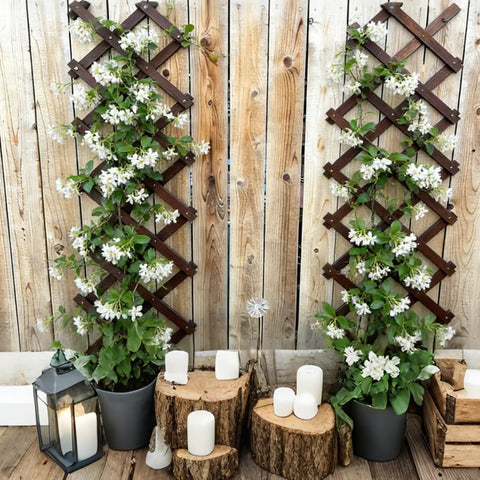 Thick 0.35 Inch Cedar Garden Trellis 13x68 Inch For Climbing Plants Ivy Vine Rose Clematis Outdoor Fence Wall Patio Decor Backyard Ready Weatherproof Easy Setup And Sturdy Fence Accent with blooms