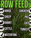 Green grass with text Grow Feed For horse, chicken, sheep, pig, rabbit, cat, cattle, turkey, waterfowl icons; Mother Fodder Blend 12Lb EcoPack All In One Grain Seed Mix For Bird Food And Fresh Grass Sprouts To Feed Rabbits Cows Horses Chickens Goats Sheep Quail Dogs Cats Ducks And Tortoises