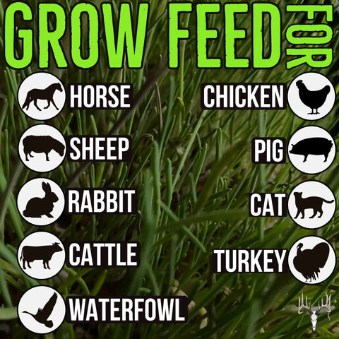 Green grass with text Grow Feed For horse, chicken, sheep, pig, rabbit, cat, cattle, turkey, waterfowl icons; Mother Fodder Blend 12Lb EcoPack All In One Grain Seed Mix For Bird Food And Fresh Grass Sprouts To Feed Rabbits Cows Horses Chickens Goats Sheep Quail Dogs Cats Ducks And Tortoises