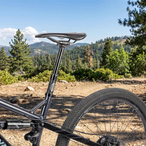 Mountain bike with Internal Cable Routing Dropper Seatpost 27.2 30.9 31.6mm 125mm Travel for MTB with scenic forest background