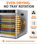 Big League 12 Tray Commercial Food Dehydrator Machine 800 Watts dries fruits and vegetables with horizontal airflow and rear fan.