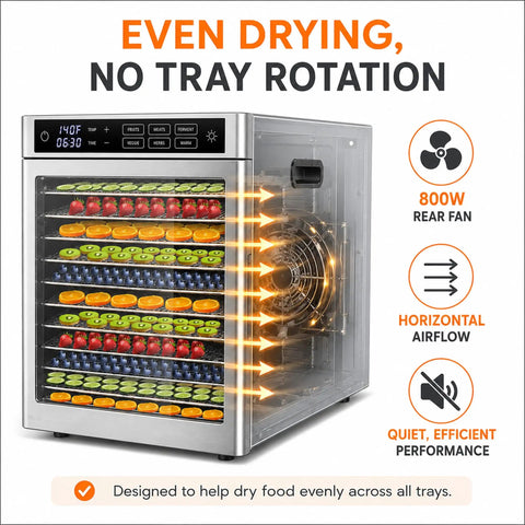 Big League 12 Tray Commercial Food Dehydrator Machine 800 Watts dries fruits and vegetables with horizontal airflow and rear fan.
