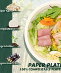 Heavy Duty 10 Inch Compostable Paper Plates 500 Count Round Biodegradable Sugarcane Fiber Dinnerware with salad on plate