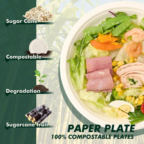 Heavy Duty 10 Inch Compostable Paper Plates 500 Count Round Biodegradable Sugarcane Fiber Dinnerware with salad on plate