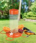 Hanging Glass Oriole Feeder For Yard Birds, 30 Ounce Nectar Feeder With Jelly Dishes And Orange Fruit Holders in garden setting