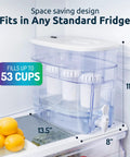 Go To Alkaline Countertop Water Filter Dispenser With 53 Cup Capacity Mineralized Water Up To PH 9 BPA Free in fridge