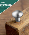Heavy-Duty 304 Stainless 1/4-20 Carriage Bolts Kit with a bolt in wood showing secure fit