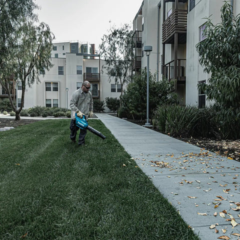 Person using Top Shelf Brushless Cordless Leaf Blower featuring smooth trigger cruise control on grass near pathway.
