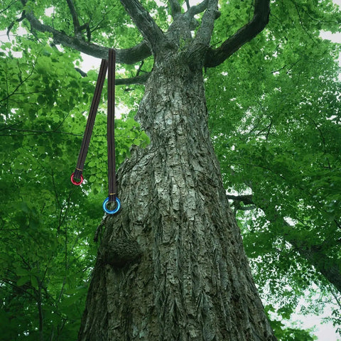 Pro Grade Arborist Friction Saver Tree Climbing Sling With Bomber Polyester Webbing And Lightweight Aluminum Carabiner For Rock Solid Grip Zero Snag Performance And Smooth Sailing Up Any Dense Canopy 110 Cm