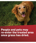 Dog on grass with text: People and pets may re-enter the treated area once grass has dried, featuring GrubEx1 Season Long Grub Killer For Lawns Kills Grubs When Young And Prevents Turf Damage For Up To 4 Months Covers 5,000 Sq Ft And Also Controls Armyworms Caterpillars Chinchbugs May And June Beetles.