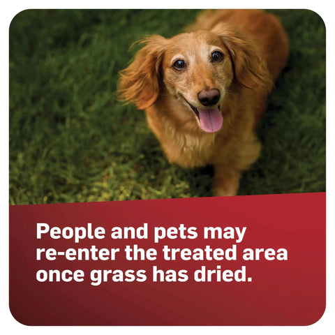 Dog on grass with text: People and pets may re-enter the treated area once grass has dried, featuring GrubEx1 Season Long Grub Killer For Lawns Kills Grubs When Young And Prevents Turf Damage For Up To 4 Months Covers 5,000 Sq Ft And Also Controls Armyworms Caterpillars Chinchbugs May And June Beetles.