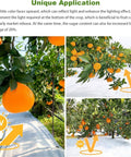 Orchard with orange trees using UV reflective ground cover to enhance lighting and fruit growth, showcasing orange fruits.