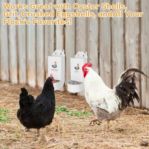 Top Shelf Hanging Chicken Grit And Oyster Shell Feeder Metal Coop Staple That Kills Feed Waste Cold And Keeps Your Flock Well Supplied Happy Healthy And Laying Eggs Flat Out Best For All Flock Ages White Twin Pack with two dispensers and chickens.