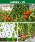 Garden with Beefy Sturdy Garden Stakes 83 Inch Heavy Duty Metal Plant Supports Plastic Coated 25 Pack Perfect For Tomatoes
