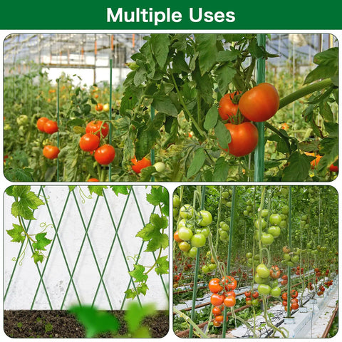 Garden with Beefy Sturdy Garden Stakes 83 Inch Heavy Duty Metal Plant Supports Plastic Coated 25 Pack Perfect For Tomatoes