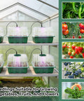 Greenhouse with Six Pack Seed Starter Kit With Grow Light And 72 Cell Plant Starter Trays, images of various fruits and flowers.