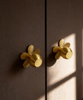 4-Pack Solid Brass Gold Cabinet Knobs With Flower Backplate installed on dark wood surface