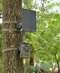 Trail Camera Mounting Bracket With 1/4-20 Threaded Insert 360 Degree Rotating Adjustable Holder installed on a tree with a camera and solar panel.