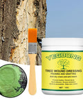 Pro Grade Bonsai Cut Paste Pruning Sealant With Brush For Tree Wound Repair And Grafting, Portable Wound Filler For Shrubs And Fruit Trees, Rain Resistant And Easy To Apply. 100g jar with brush, green paste on tree wound