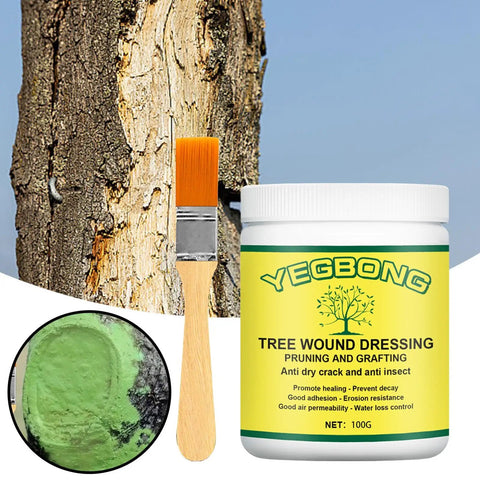 Pro Grade Bonsai Cut Paste Pruning Sealant With Brush For Tree Wound Repair And Grafting, Portable Wound Filler For Shrubs And Fruit Trees, Rain Resistant And Easy To Apply. 100g jar with brush, green paste on tree wound