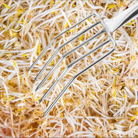 Stainless Steel Bean Sprout Hand Fork For Digging And Transplanting Beefy Heavy Duty Garden Tool scooping fresh bean sprouts