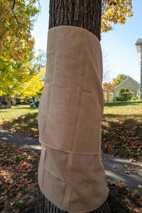Heavy Duty Burlap Garden Fabric 12 Oz Odorless Food Grade For Weed Blocking And Erosion Control wrapped around a tree trunk.