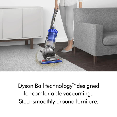 Dyson Ball Animal upright vacuum on carpet near a sofa; blue transparent dust bin and self-adjusting cleaner head.