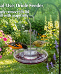2 Pack 16 Oz Hummingbird Feeders For Outdoors Hanging With 6 Bee Proof Feeding Ports Ant Moat Leak Proof Nectar Dispenser Easy Clean Jelly Oriole Bird Feeder Garden Decor Gift