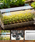 Full Spectrum Seed Starter Kit With Grow Light 72 Cell Tray 5 Dimmable Brightness Levels And Timer Indoor Plant Starter