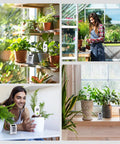 Light Driven Thermo Hygrometer And Smart Digital Wireless Soil Moisture Meter Kit For Real Time Plant Care WiFi Hub