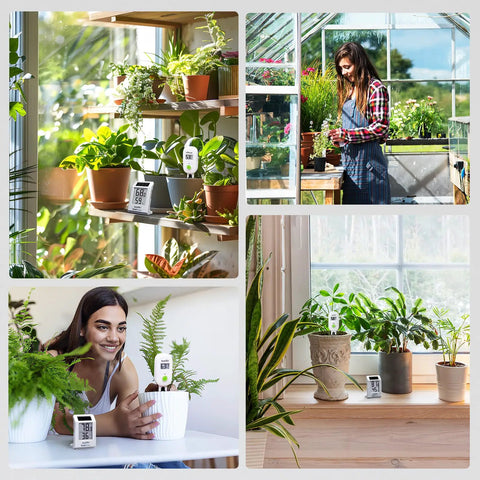 Light Driven Thermo Hygrometer And Smart Digital Wireless Soil Moisture Meter Kit For Real Time Plant Care WiFi Hub