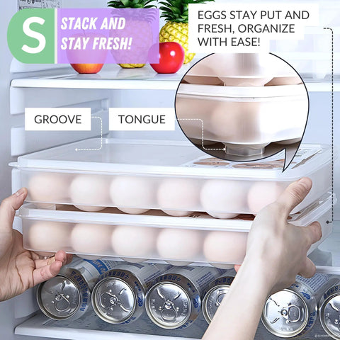 Two Pack Deviled Egg Carriers With Lids Portable 24 Egg Holders 48 Egg Capacity BPA Free Plastic Stackable Refrigerator Organizer Clear Tray Secure Seal Easy Clean Party Ready On The Go