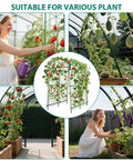 7.5 Foot Extra Tall Garden Arch Trellis With Polyethylene Coated Stainless Steel Frame covered in climbing plants