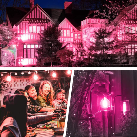 Colorful LED Bulbs 9W Equal To 60W Non Dimmable E26 Base For Weddings Halloween Christmas Parties And Bar Decor Six Pack