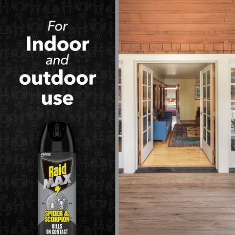 Spider And Scorpion Killer Spray For Indoor And Outdoor Use next to open doorway showing indoor and outdoor spaces
