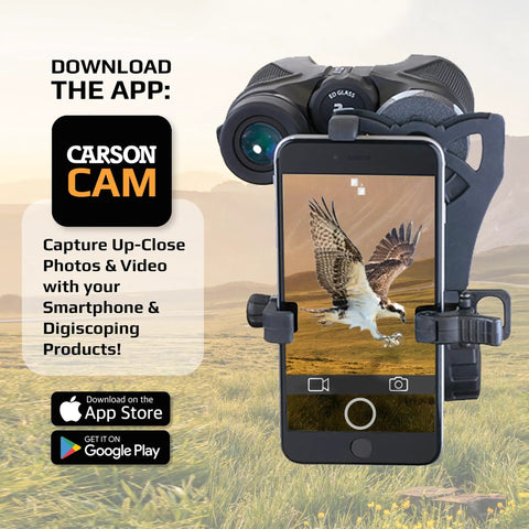 HookUpz Two Point Zero Universal Smartphone Optics Digiscoping Adapter holding phone on tripod with binocular view