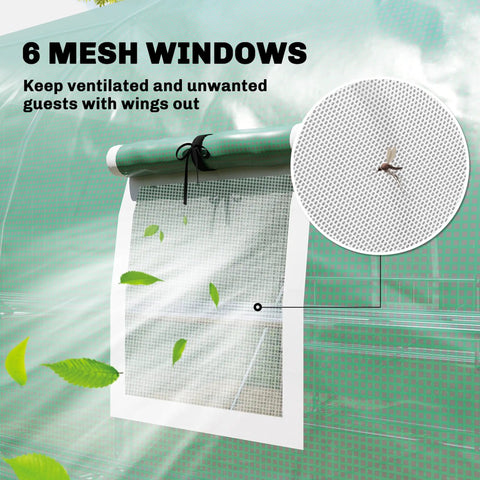 Walk In Tunnel Greenhouse With Shelves And Mesh Door showing mesh window detail for ventilation