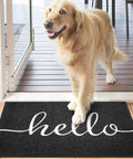 Durable Outdoor Indoor Doormat 30 By 17.5 Inches Non Slip Mud Trapping PVC Silk Loop Mat That Grabs Dirt Without Water Absorption Easy Clean Front Door Mat For Garage Entryway Patio High Traffic Black with dog at entrance