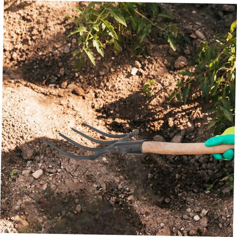Beefy Heavy Duty Four Prong Steel Pitch Fork Head for garden digging and soil loosening aeration and ground prep visible in use