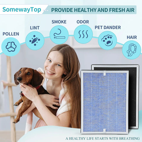Bright room with Replacement Filter For Membrane Solutions Air Purifier With 3-In-1 Filtration next to smiling woman and dog.