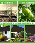 Comparison of tomato plants with and without Ninety Percent Shade Cloth For Garden Greenhouse Patio And Backyard With Reinforced Grommets Six Point Five By Ten Feet UV Resistant Sun Block Mesh