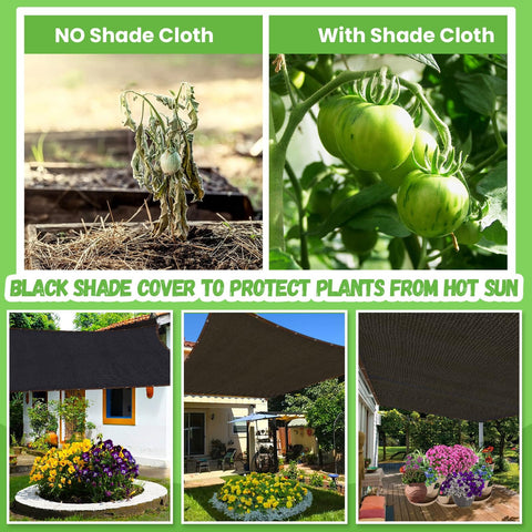 Comparison of tomato plants with and without Ninety Percent Shade Cloth For Garden Greenhouse Patio And Backyard With Reinforced Grommets Six Point Five By Ten Feet UV Resistant Sun Block Mesh