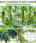 Beefed Up Heavy Duty Garden Trellis Netting For Climbing Plants Outdoor Support showing cucumbers and grapes growing on net