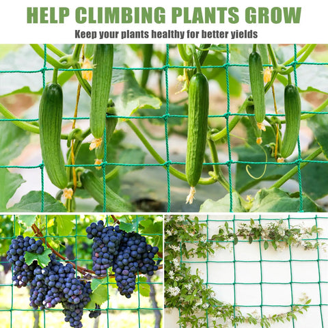 Beefed Up Heavy Duty Garden Trellis Netting For Climbing Plants Outdoor Support showing cucumbers and grapes growing on net