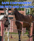 Horses in a fenced enclosure with a Tough As Nails Heavy Duty Gate Chain Lock With Carabiners 20 Inch Black Weather Resistant Fence Latch for outdoor gates and barn fences.