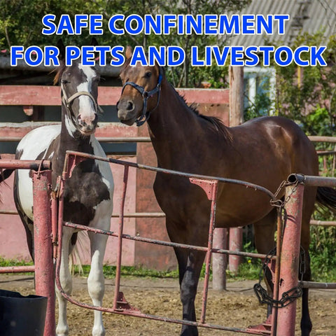 Horses in a fenced enclosure with a Tough As Nails Heavy Duty Gate Chain Lock With Carabiners 20 Inch Black Weather Resistant Fence Latch for outdoor gates and barn fences.