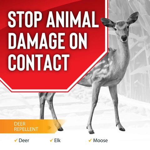 Moose Elk And Deer Repellent Spray For Gardens And Lawns, 30 Day Weatherproof Protection, advertising with deer image.