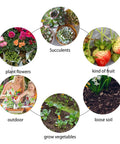 Diagram of gardening activities including planting flowers, growing succulents, and harvesting fruit with Stainless Steel Garden Shovel And Trowel Hand Tools Set For Transplanting Weeding Moving And Smoothing Digging And Planting Durable Ergonomic Do It All Three Pack For Small Gardens.