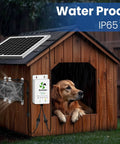 Solar Exhaust Fan For Chicken Coop With Battery And Adjustable Thermostat on dog house in rain