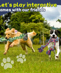 Two dogs playing tug of war outdoors with Four Pack Heavy Duty Dog Rope Toys For Aggressive Chewers, 100 Percent Cotton Rope.